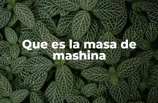 Que es la Masa de Mashina