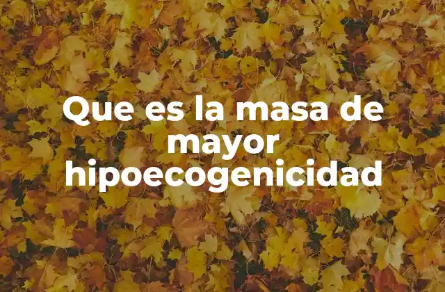 Que es la Masa de Mayor Hipoecogenicidad