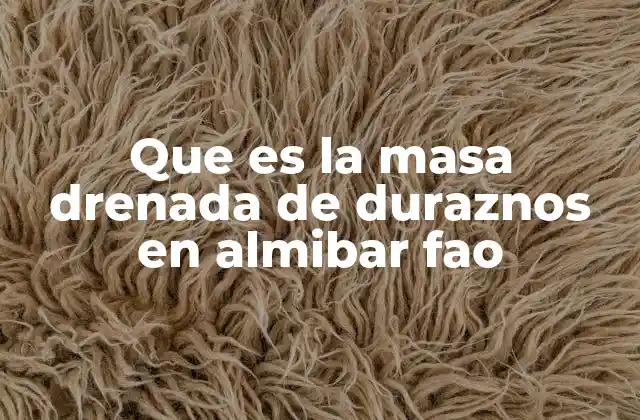 Que es la Masa Drenada de Duraznos en Almibar Fao