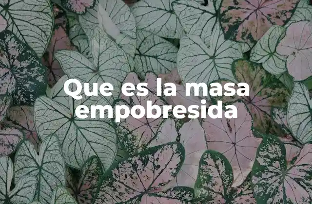 Que es la Masa Empobresida