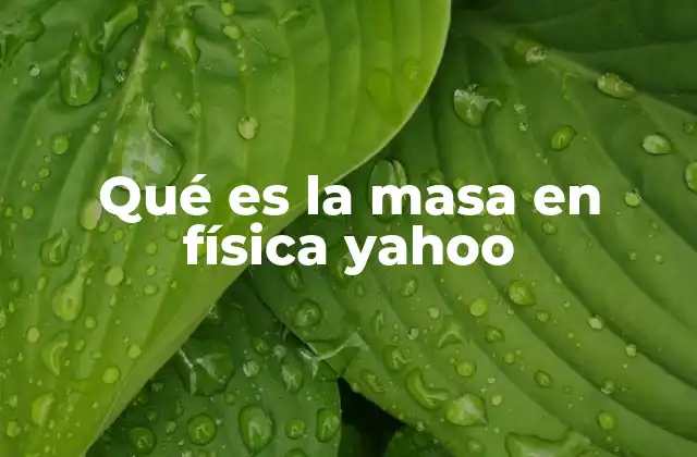 Qué es la Masa en Física Yahoo
