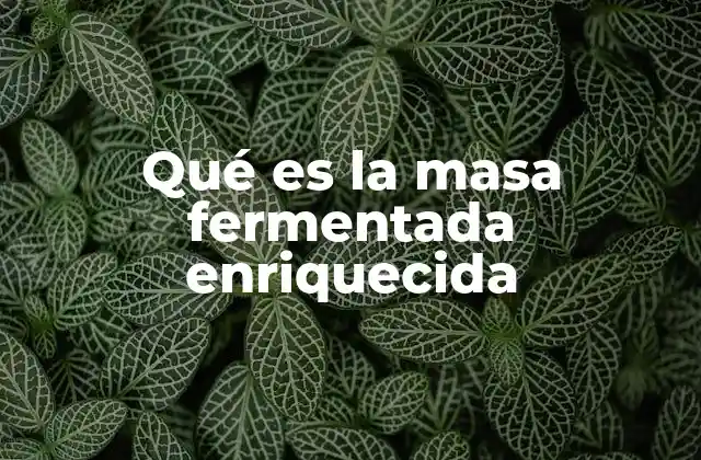 Qué es la Masa Fermentada Enriquecida