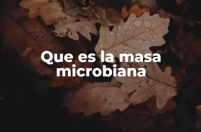 Que es la Masa Microbiana 2 La importancia de la masa microbiana en los ecosistemas
