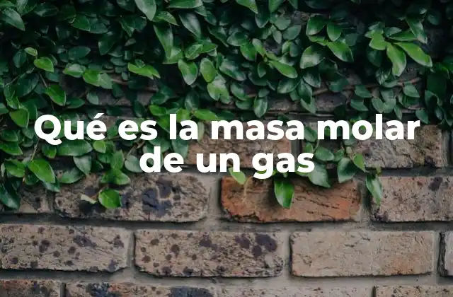 Qué es la Masa Molar de un Gas