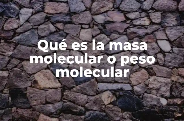 La importancia de calcular el peso molecular en la química moderna