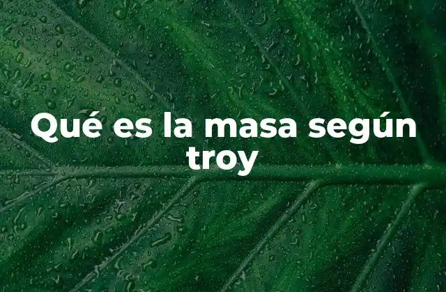 Qué es la Masa según Troy