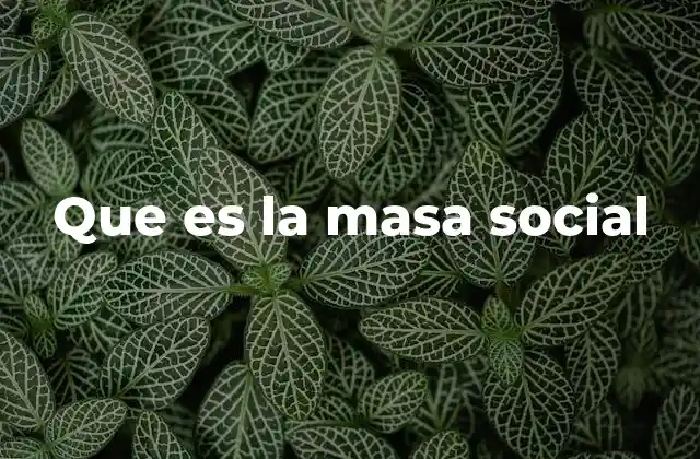 Que es la Masa Social