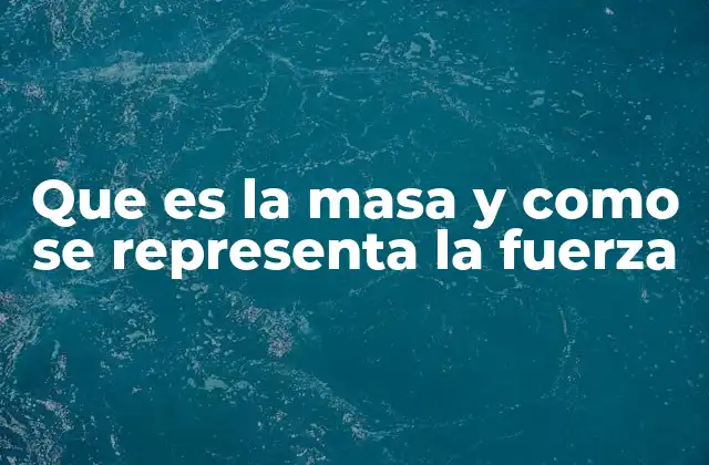 Que es la Masa y como Se Representa la Fuerza