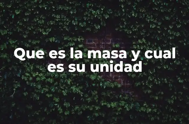 Que es la Masa y Cual es Su Unidad