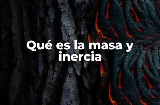 Qué es la Masa y Inercia