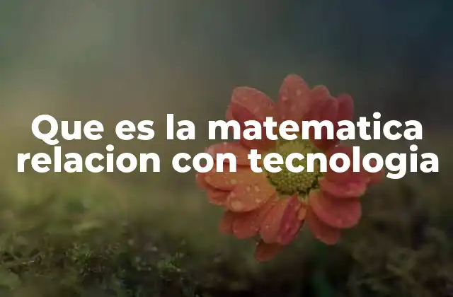 Que es la Matematica Relacion con Tecnologia
