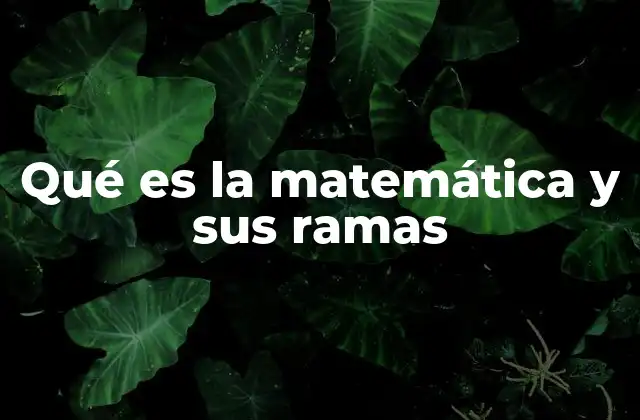 Qué es la Matemática y Sus Ramas