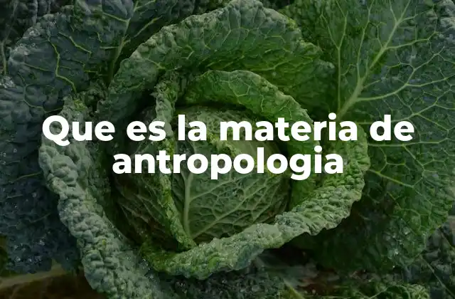 Que es la Materia de Antropologia