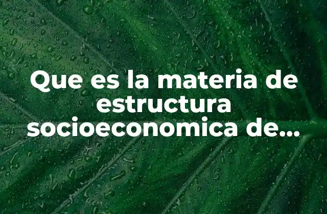 Que es la Materia de Estructura Socioeconomica de Mexico