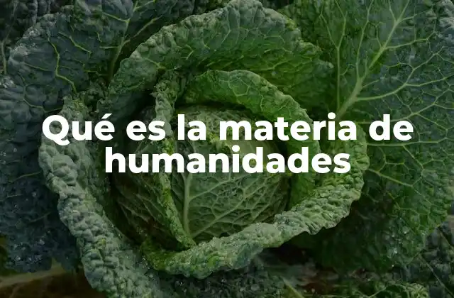 Qué es la Materia de Humanidades