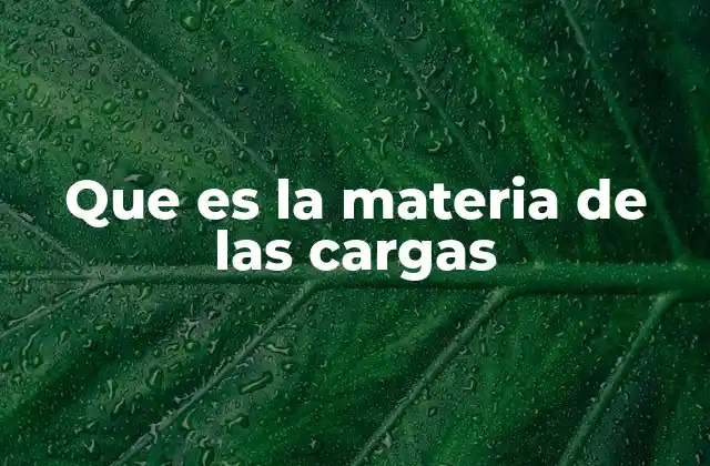 Que es la Materia de las Cargas