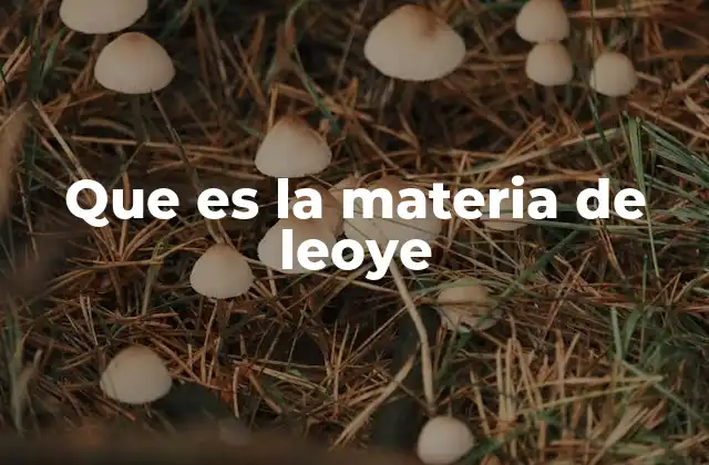 Que es la Materia de Leoye