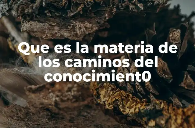 Que es la Materia de los Caminos Del Conocimient0