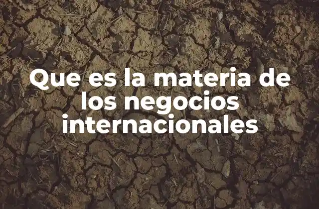 Que es la Materia de los Negocios Internacionales