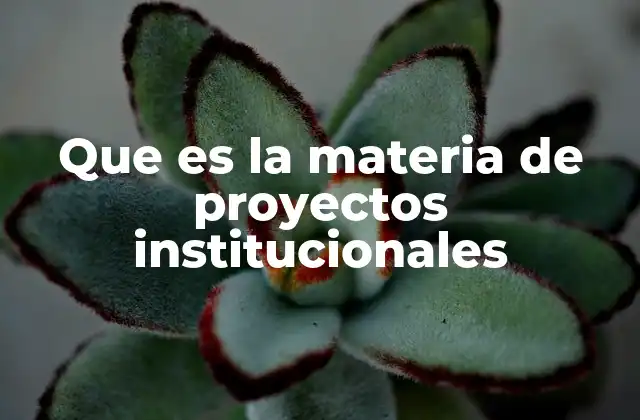Que es la Materia de Proyectos Institucionales