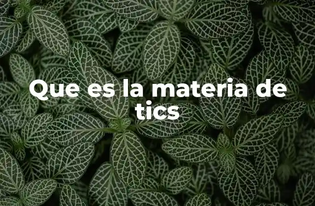 Que es la Materia de Tics