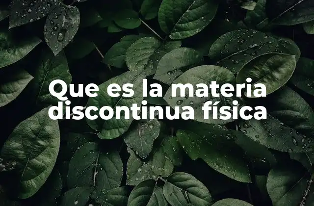 Que es la Materia Discontinua Física