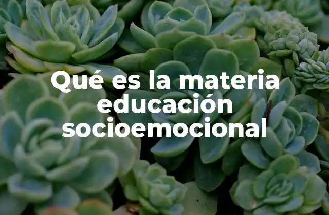 El papel de la educación socioemocional en el desarrollo infantil