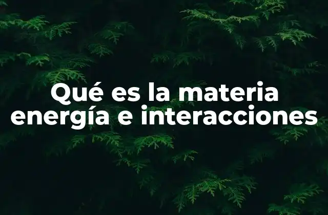 Qué es la Materia Energía e Interacciones