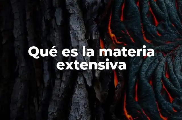 Qué es la Materia Extensiva