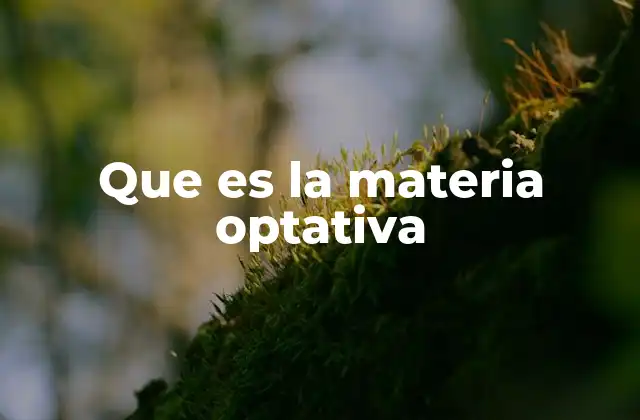 El papel de las materias optativas en el desarrollo académico