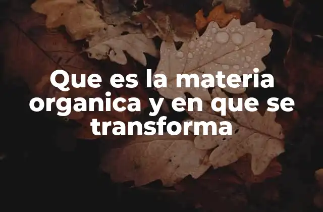 Que es la Materia Organica y en que Se Transforma 2 El rol esencial de la materia orgánica en los ecosistemas