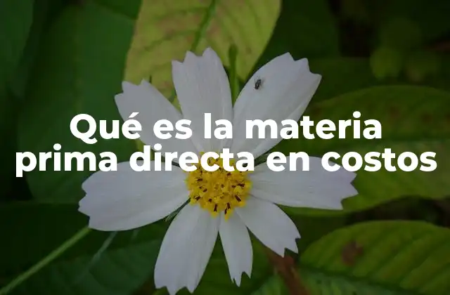 Qué es la Materia Prima Directa en Costos