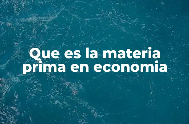 Que es la Materia Prima en Economia