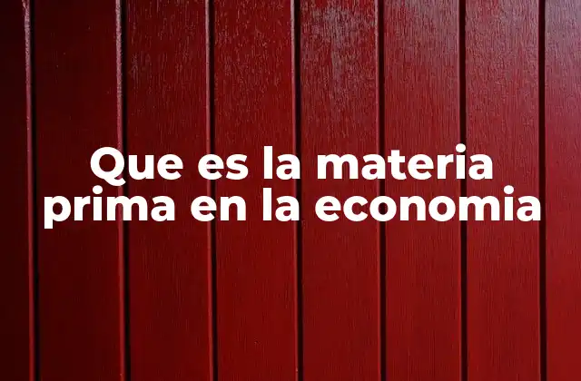 Que es la Materia Prima en la Economia
