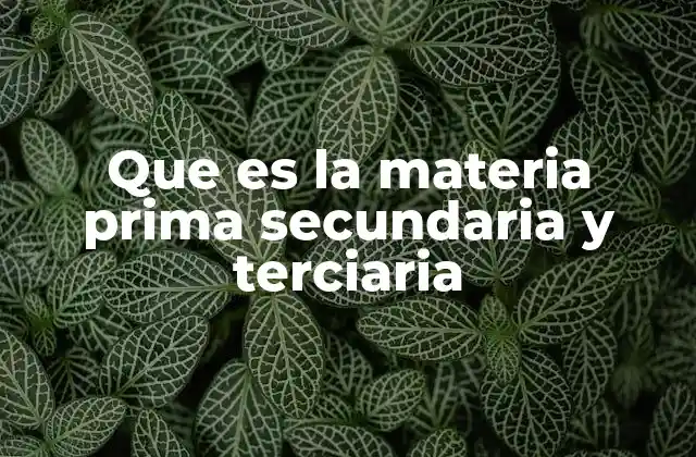 Que es la Materia Prima Secundaria y Terciaria