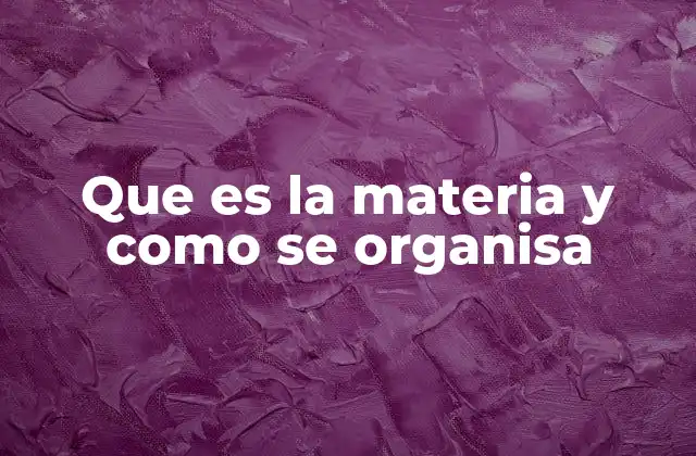 Que es la Materia y como Se Organisa