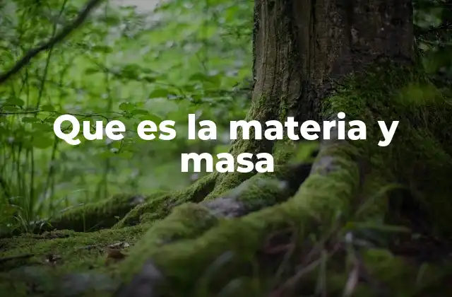 Que es la Materia y Masa