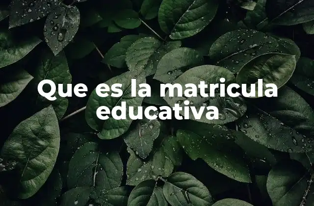 Que es la Matricula Educativa
