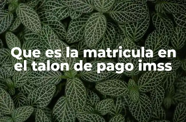 Que es la Matricula en el Talon de Pago Imss