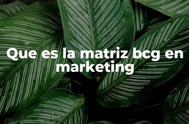 Que es la Matriz Bcg en Marketing