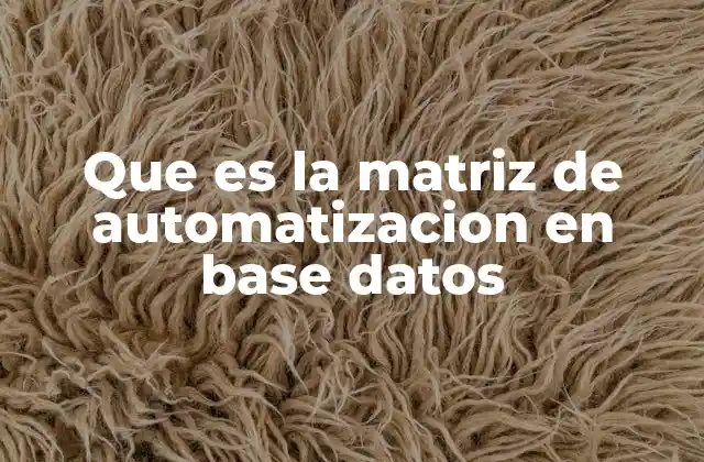 Que es la Matriz de Automatizacion en Base Datos