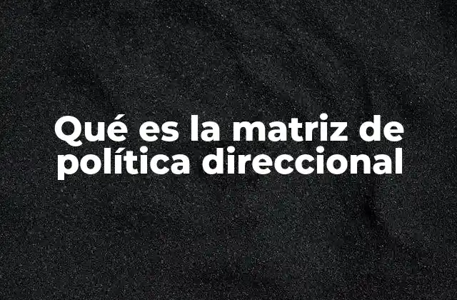 Qué es la Matriz de Política Direccional