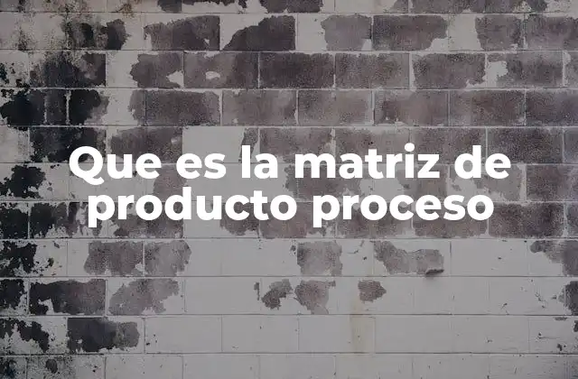 Que es la Matriz de Producto Proceso