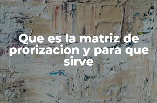 Que es la Matriz de Prorizacion y para que Sirve