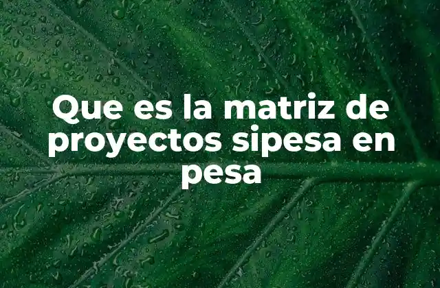 La importancia de la planificación en la protección civil