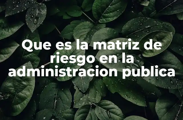 Que es la Matriz de Riesgo en la Administracion Publica