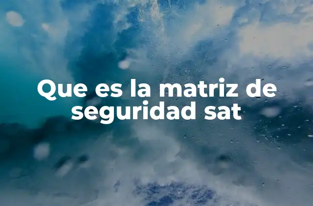 Que es la Matriz de Seguridad Sat