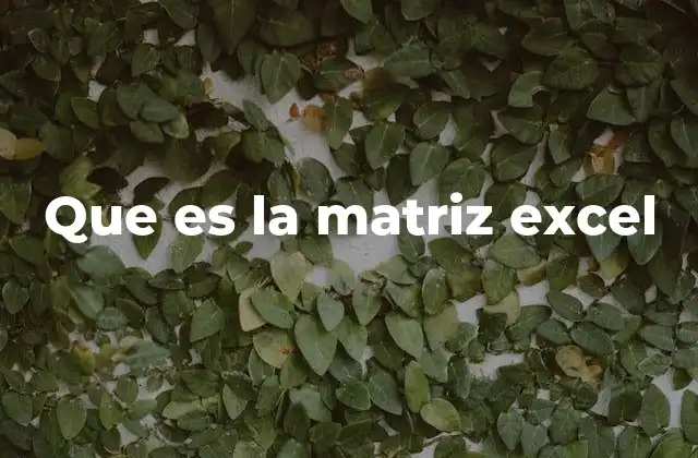 Que es la Matriz Excel