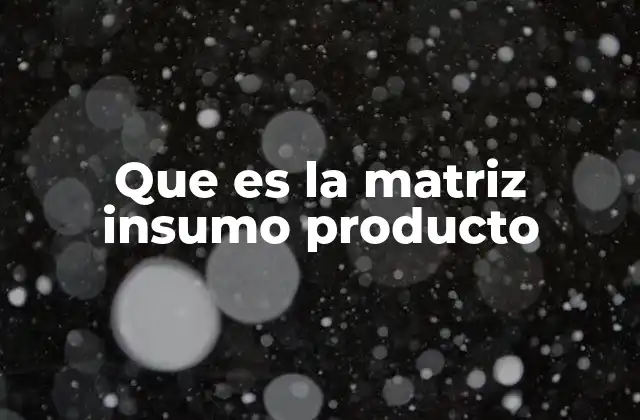 Que es la Matriz Insumo Producto