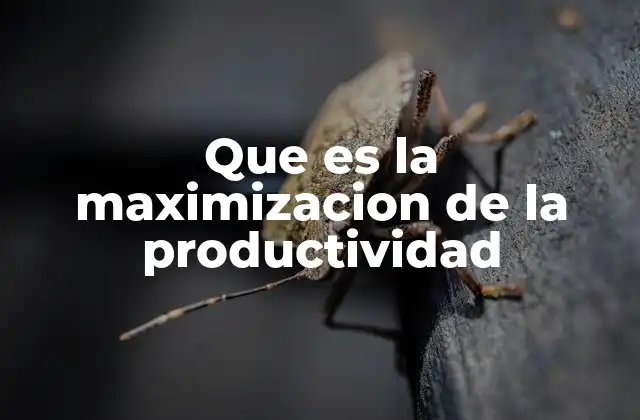 Que es la Maximizacion de la Productividad